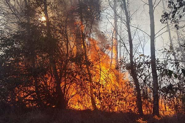 Spento dopo due giorni l’incendio nei boschi di Bogogno