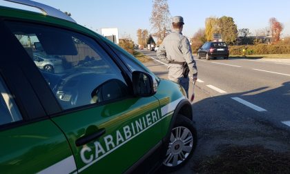 Borgo Ticino sgominati bracconieri ittici, Lndc: "Piaga che destabilizza l'ecosistema"