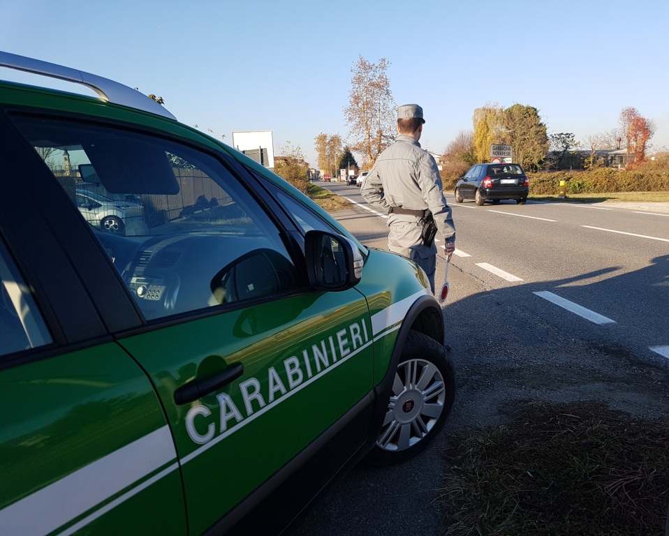 Borgo Ticino sgominati bracconieri ittici, Lndc: “Piaga che destabilizza l’ecosistema”
