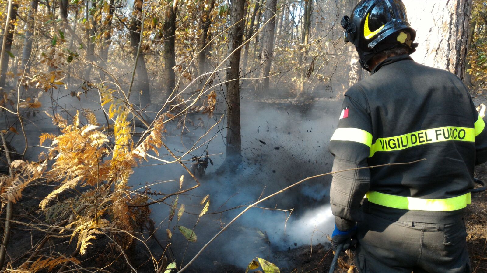 Incendio boschivo l'intervento dei vigili del fuoco.