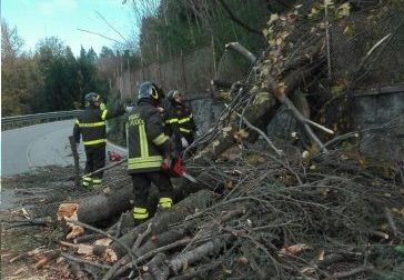 Tragedia sfiorata sulla Statale 229, l'intervento dei pompieri