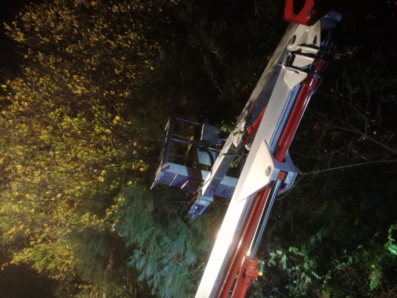 Vento forte: albero rischia di cadere su casa
