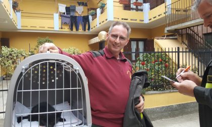 Gattino salvato da un tetto di una casa disabitata