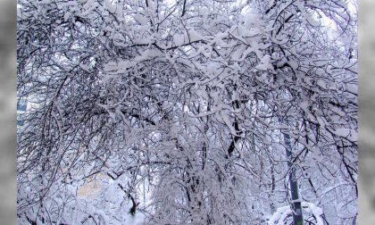 Val Vigezzo: 5 operai bloccati sulla funivia per un black out