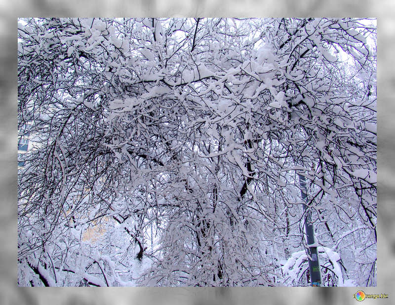 Pulizia neve ecco ordinanza del sindaco