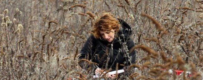 Cadavere putrefatto in valigia: era lì da almeno 6 mesi