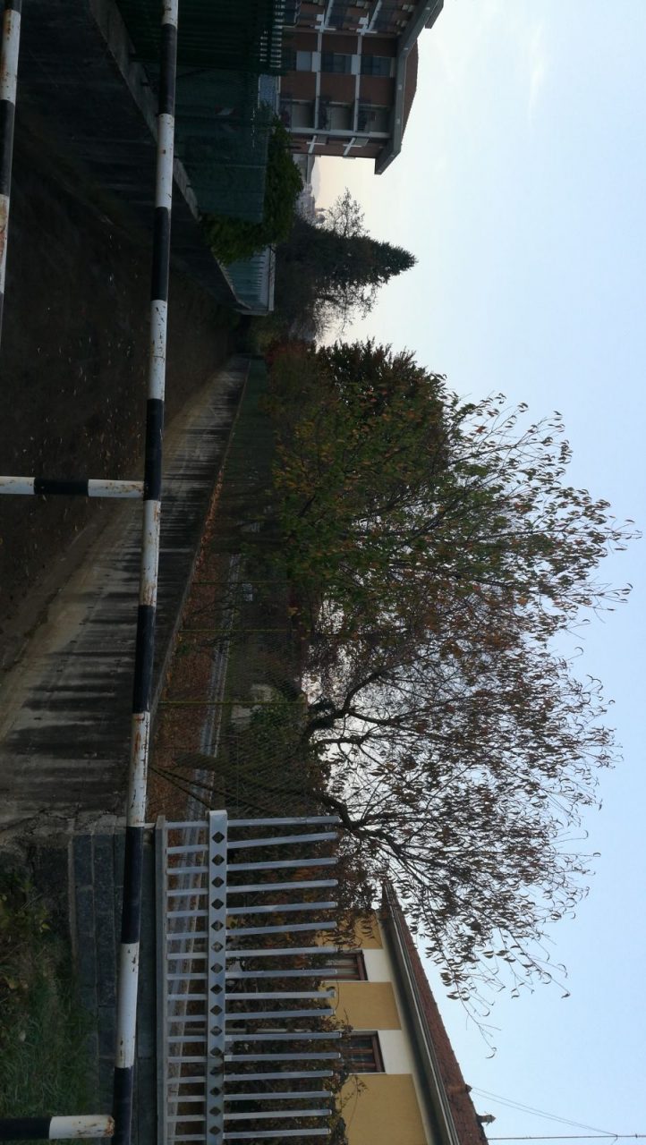 Pulizia torrenti in vista delle forti piogge