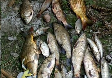 Pesca illecita uomo punito con 4.000 euro