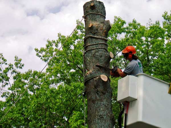 Traffico vietato nel tratto tra Comignago e Oleggio Castello