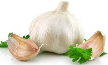 Aglio miracoloso: combatte le infezioni