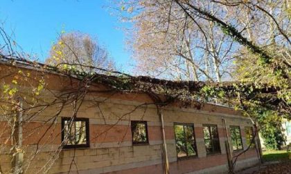 Albero sul tetto del Fauser: i lavori in una settimana