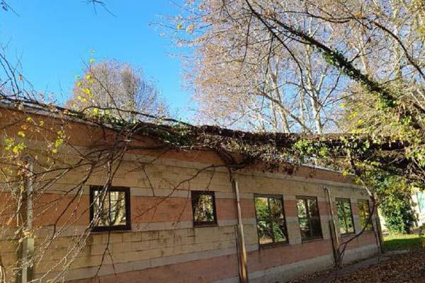 Albero sul tetto del Fauser: i lavori in una settimana