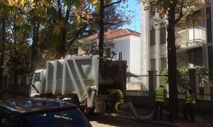 Autunno, cadono le foglie... e Assa le raccoglie