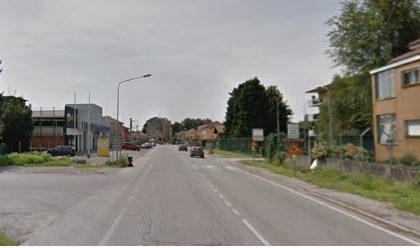 Cagnolina salvata dai passanti: correva sulla statale