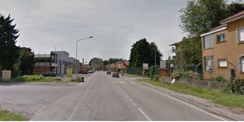 Cagnolina salvata dai passanti: correva sulla statale