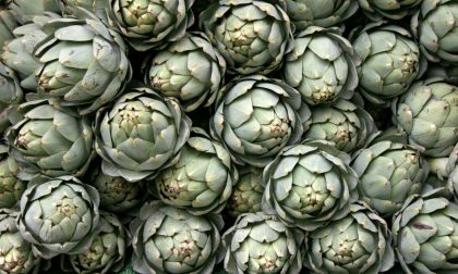 Carciofi miracolo per il cuore e il fegato
