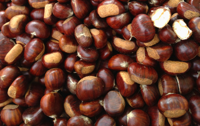 Castagnata benefica alle Marcelline