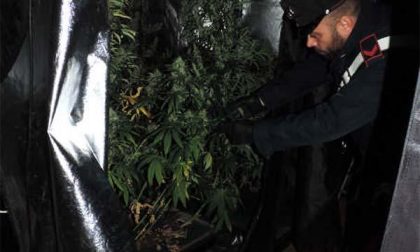 Fiamme in una casa a Casaleggio: a causarle una serra di marjuana, arrestato chi aveva a disposizione l’immobile