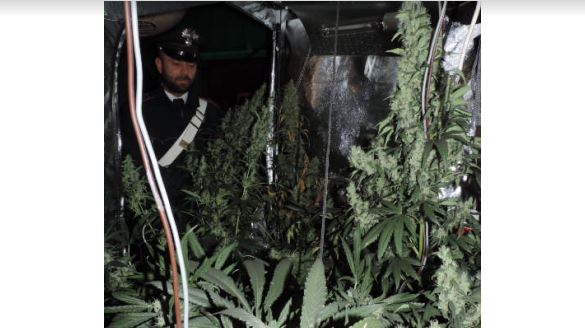 Incendio Casaleggio: a fuoco una serra di marijuana