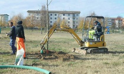 Nuove piante per una città più verde