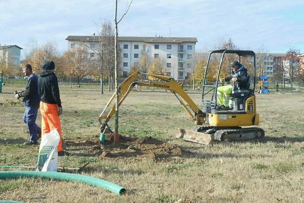 Nuove piante per una città più verde
