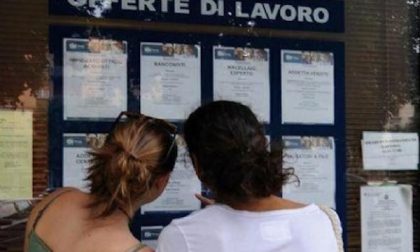 Oltre 5.500 assunzioni entro fine anno