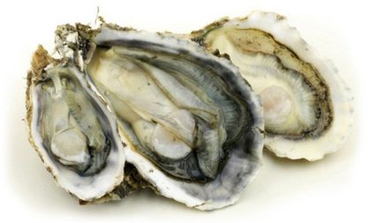 Ostrica concava richiamata per biotossine
