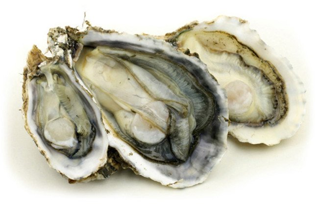 Allerte alimentari: sospetta epidemia di Norovirus e Salmonella nelle ostriche