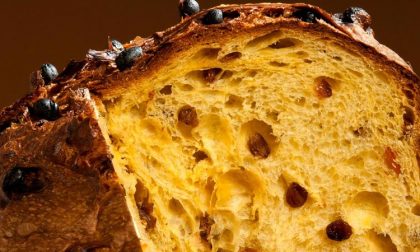 Panettone migliore d’Italia è piemontese