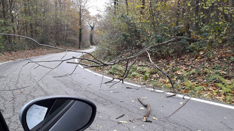 Attenzione albero caduto a Divignano