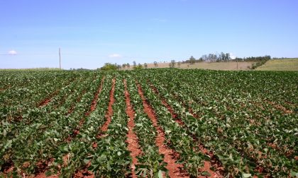 Calo produzione agricola record negativo ma qualità super