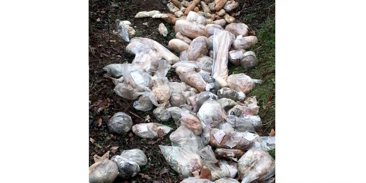 Vergogna cibo abbandonato al Varallino