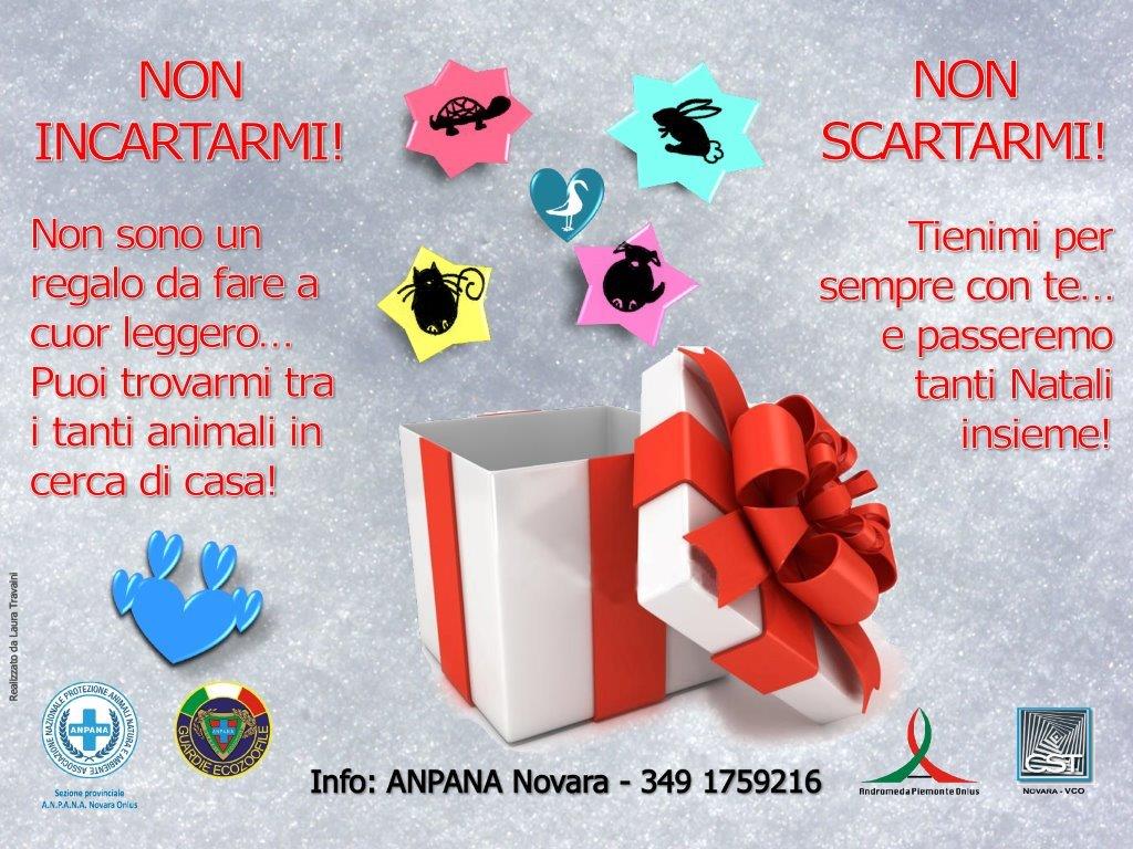 Animali regalo da non … scartare: la campagna contro gli abbandoni