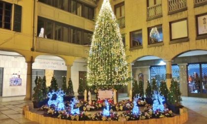Acceso l'albero danzante, è cominciato il dicembre borgomanerese