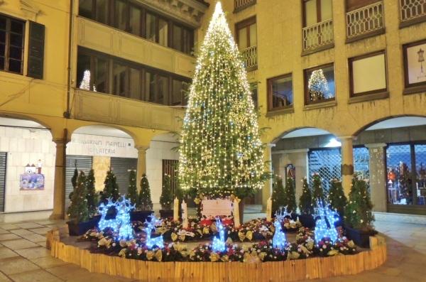 Acceso l’albero danzante, è cominciato il dicembre borgomanerese