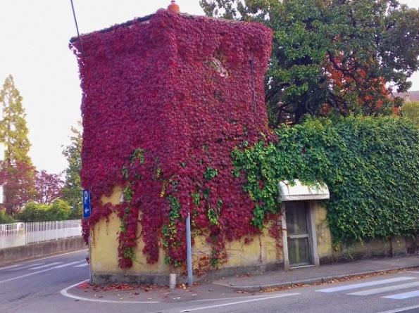 Anche a Borgomanero i contributi per il riutilizzo dei beni confiscati