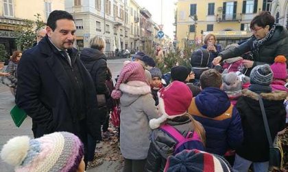 Cresce il “Bosco incantato” in centro a Novara (FOTOGALLERY)