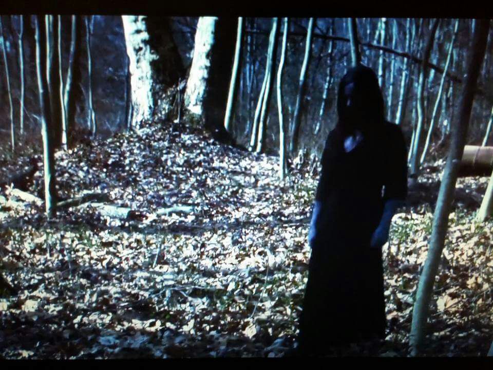 Fantasmi vendicativi nel film nei boschi di Gattico