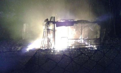 Fiamme in un’area boschiva di Gozzano