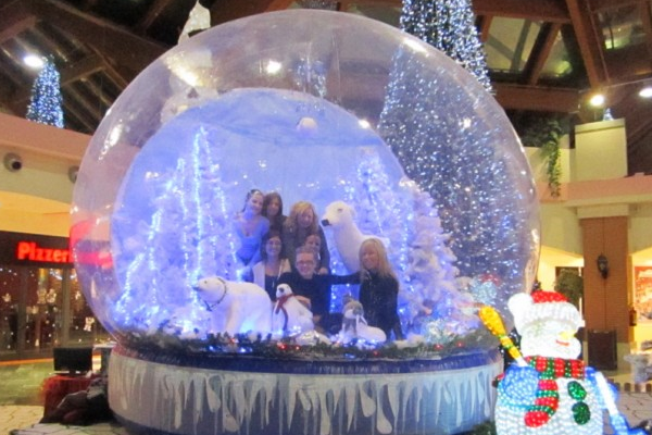 La foto simbolo delle Feste? In piazza a Borgomanero