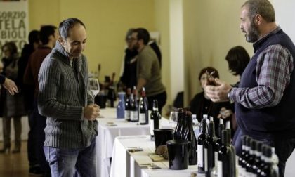 Le eccellenze del territorio in mostra a Cureggio