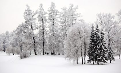 Domani NEVE su tutto il Nord Italia