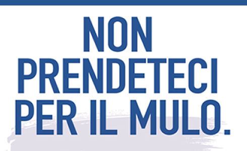 Confartigianato Novara: “Non prendeteci per il mulo”