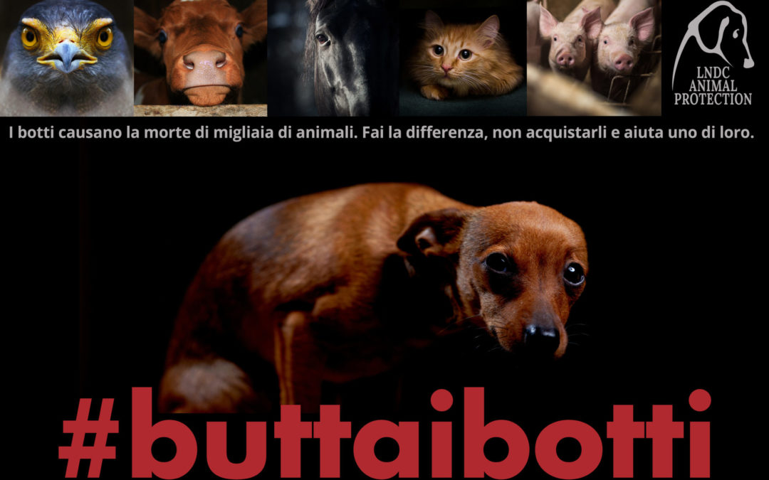 #BUTTAIBOTTI 2017: Capodanno di festa non di tragedia