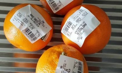 Sacchetti frutta la rivolta sui social