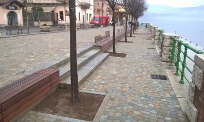 Panchina lunga aronese: vi piace o no?