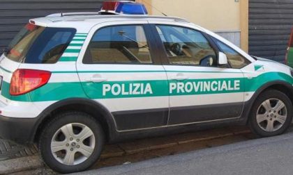 Azienda del Medio Novarese segnalata per deposito incontrollato di rifiuti pericolosi