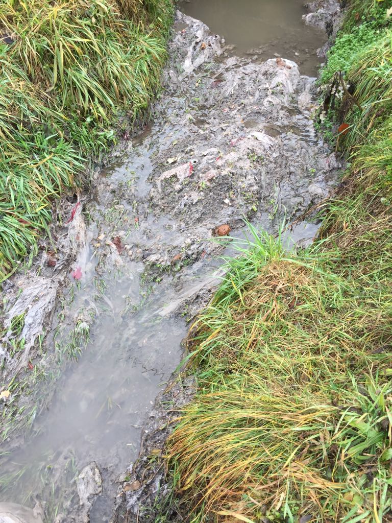 Castelletto protesta per la fogna a cielo aperto di via Beati