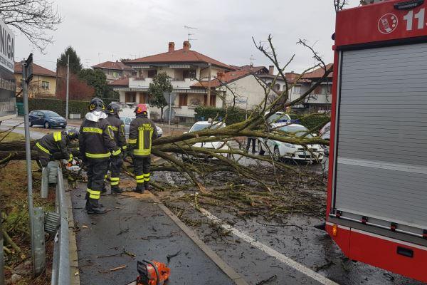 Albero cade sulla circonvallazione