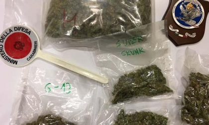 Arrestato giovane di Oleggio Castello con 8 etti di marijuana in auto